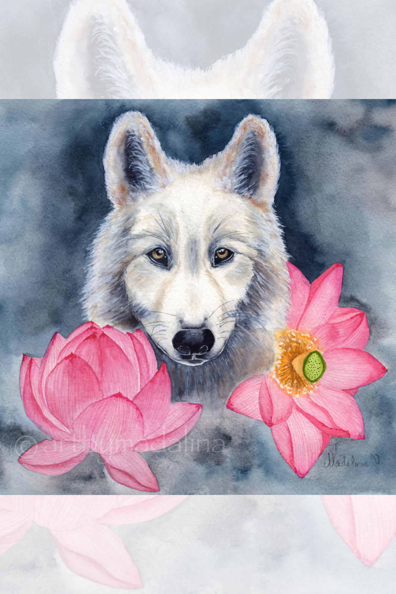 Wolf & Lotus