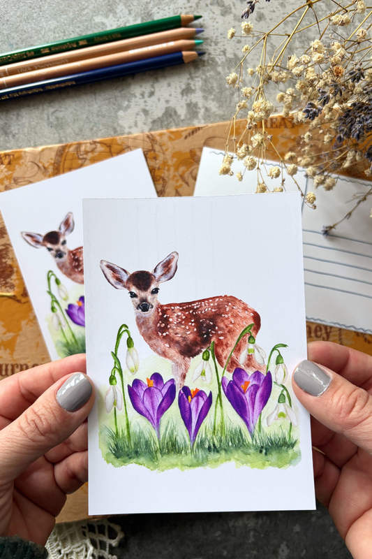 Where Spring Begins Postcard