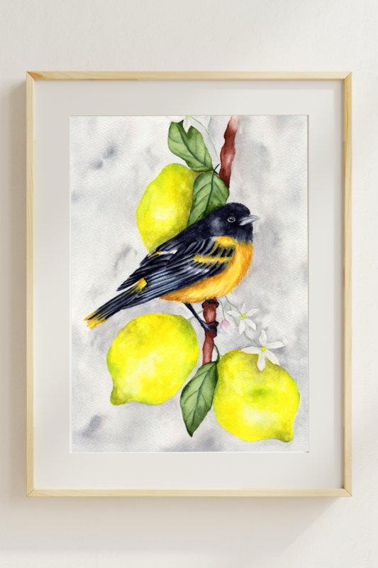 Oriole in Citrus Light Fine Art Print