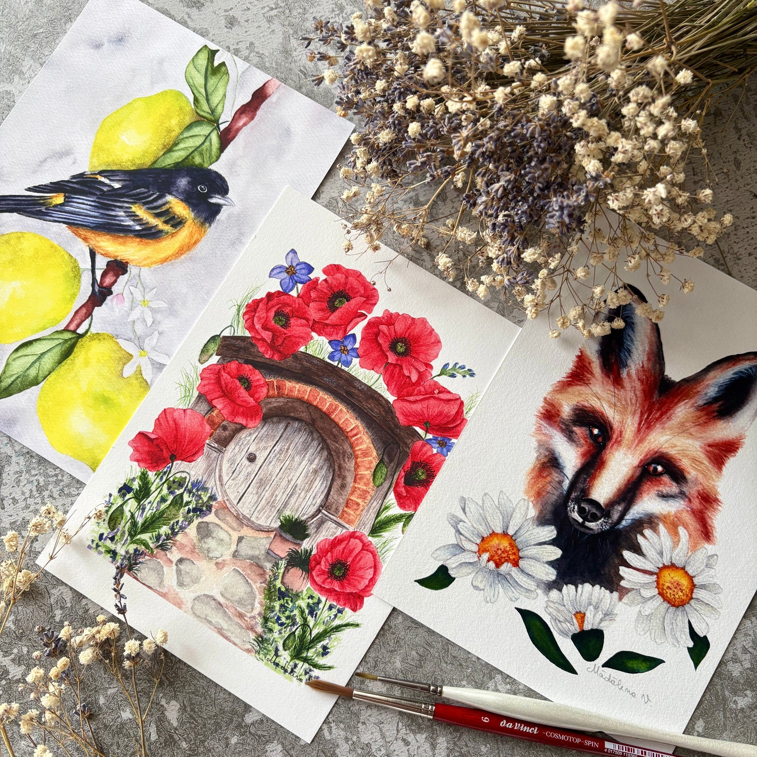 Flora & Fauna Fine Art Prints
