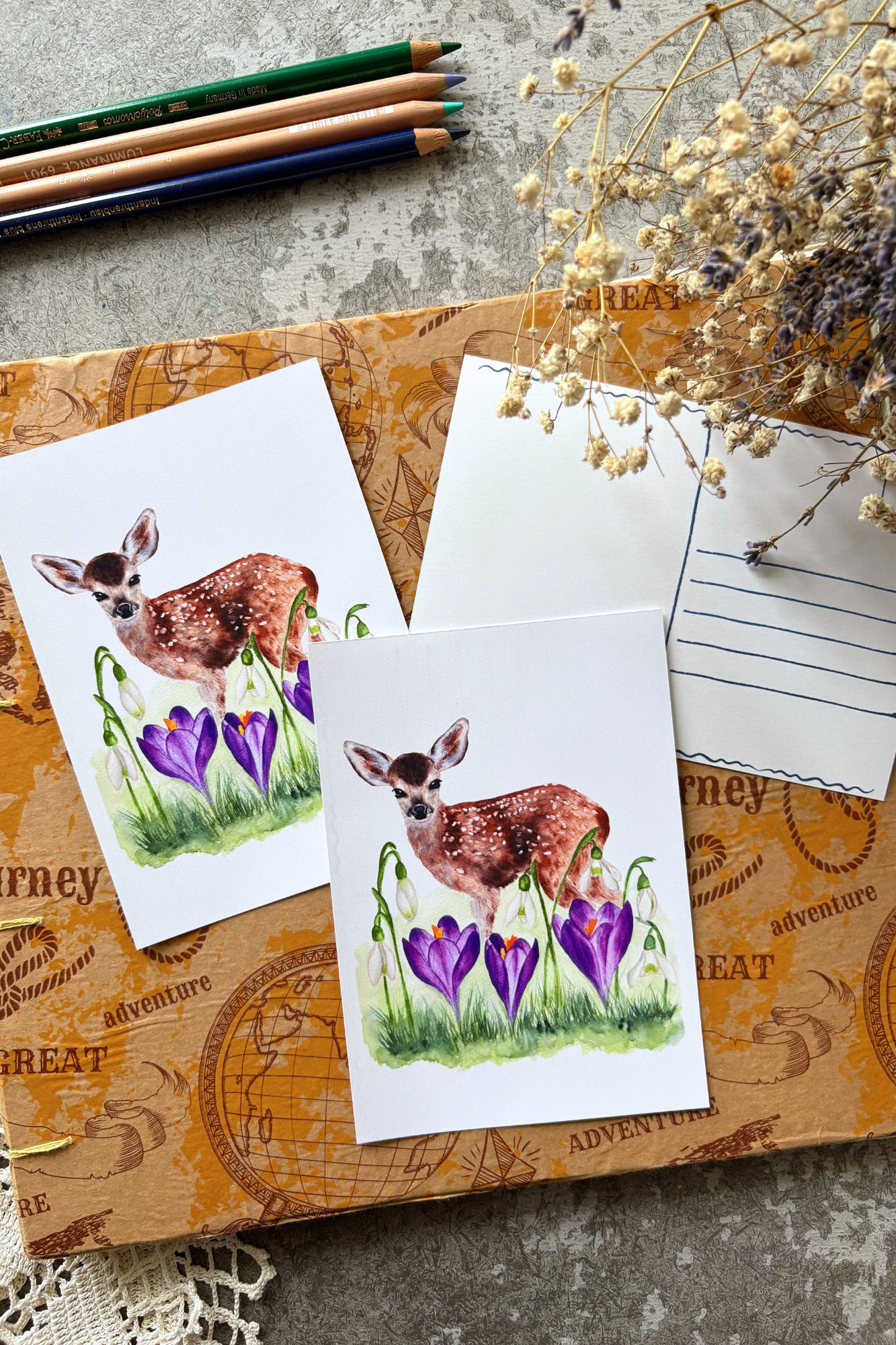 Where Spring Begins Postcard