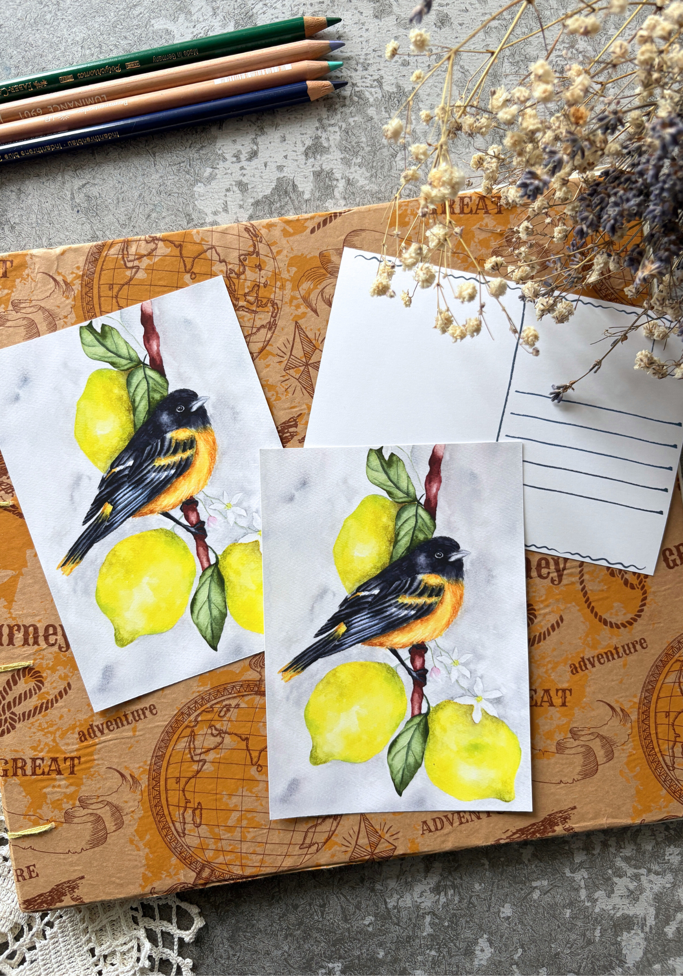 Oriole in Citrus Light Postcard