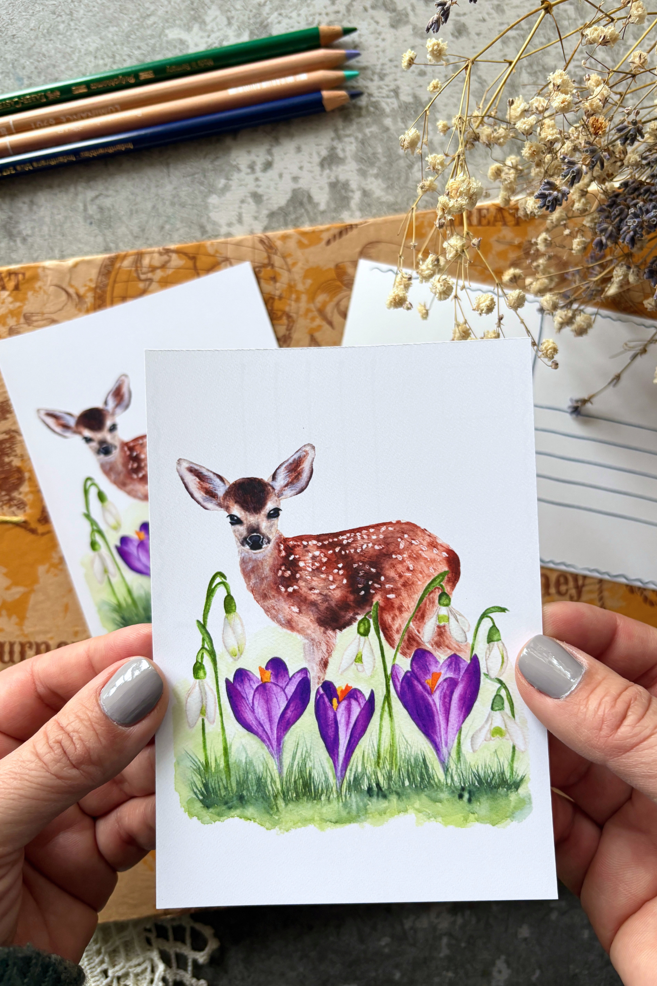 Where Spring Begins Postcard