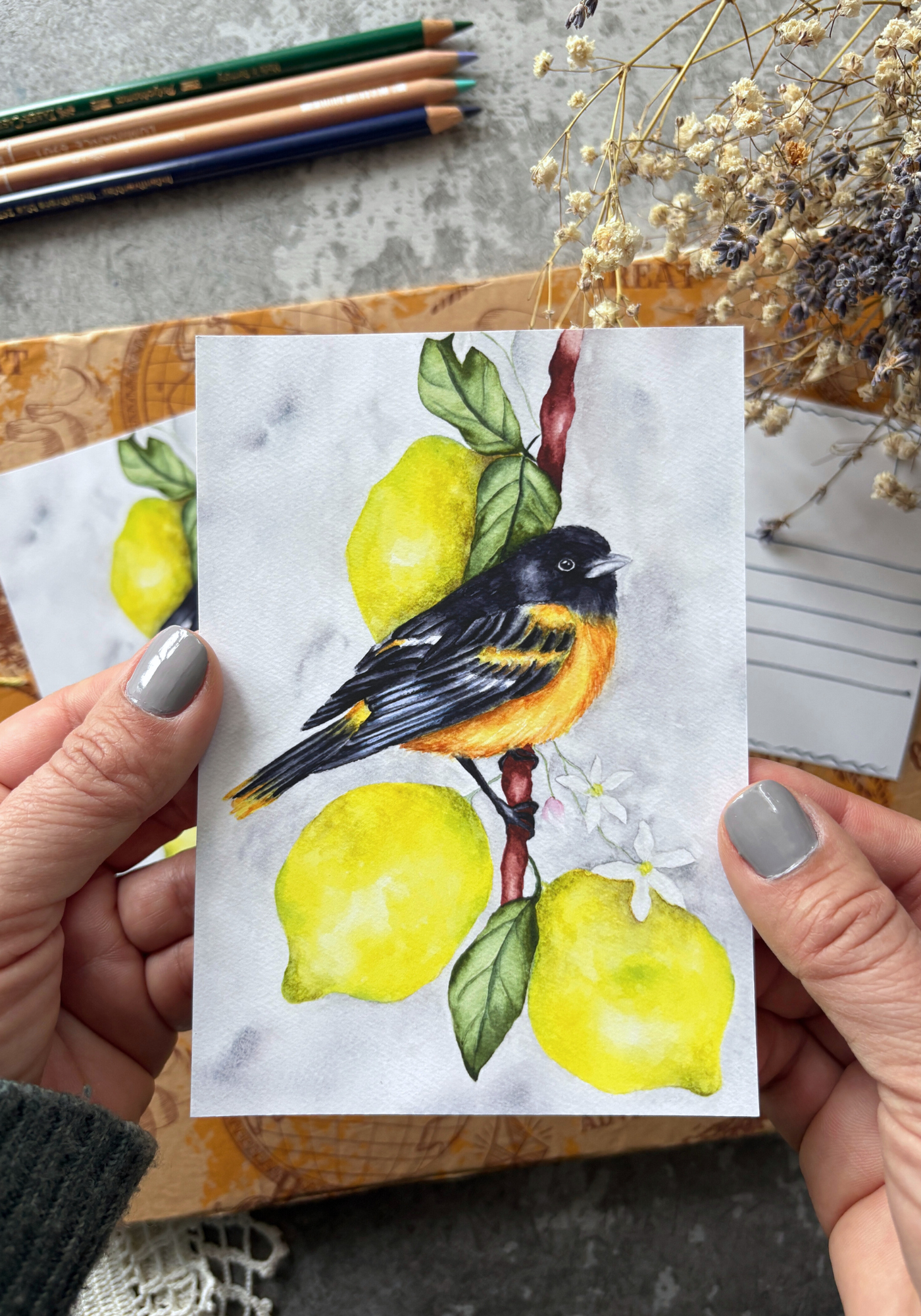 Oriole in Citrus Light Postcard