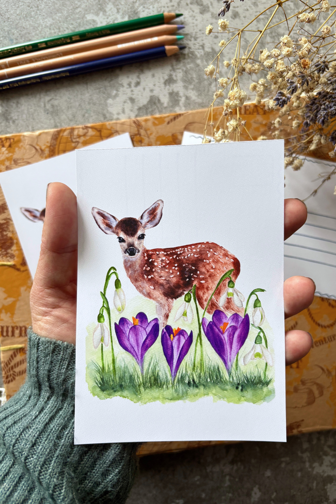 Where Spring Begins Postcard