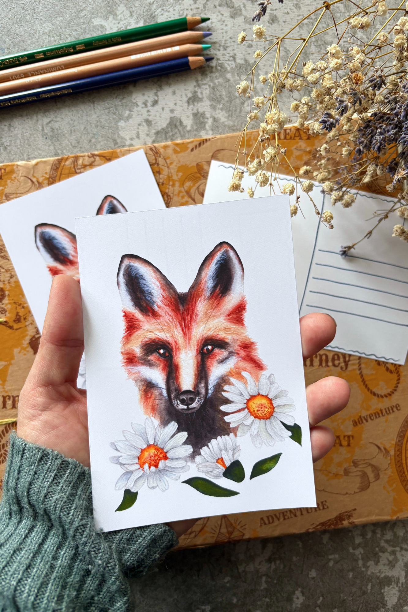 Among the Daisies Postcard