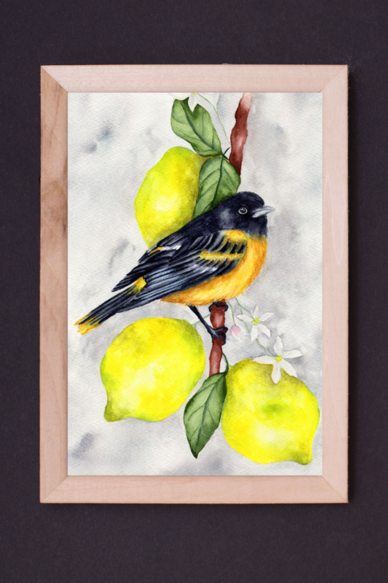 Oriole in Citrus Light Fine Art Print