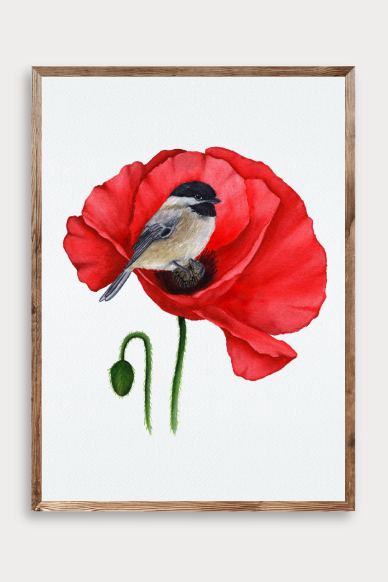 Poppy Whispers Fine Art Print