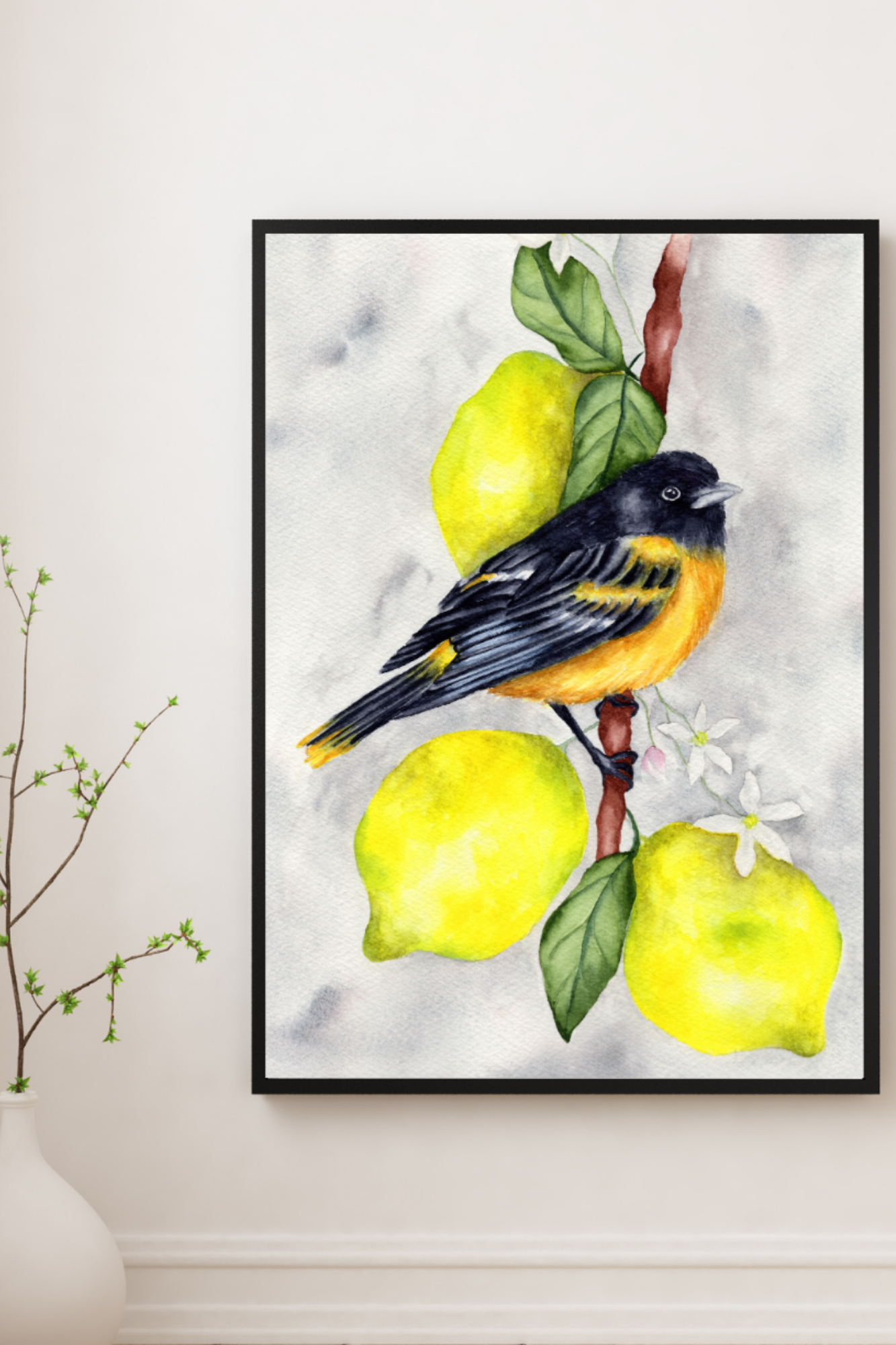Oriole in Citrus Light Fine Art Print