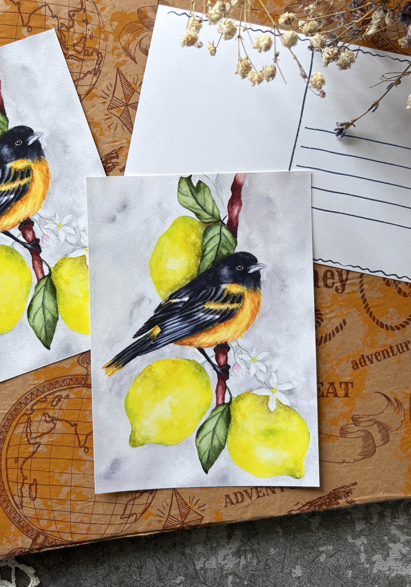 Oriole in Citrus Light Postcard