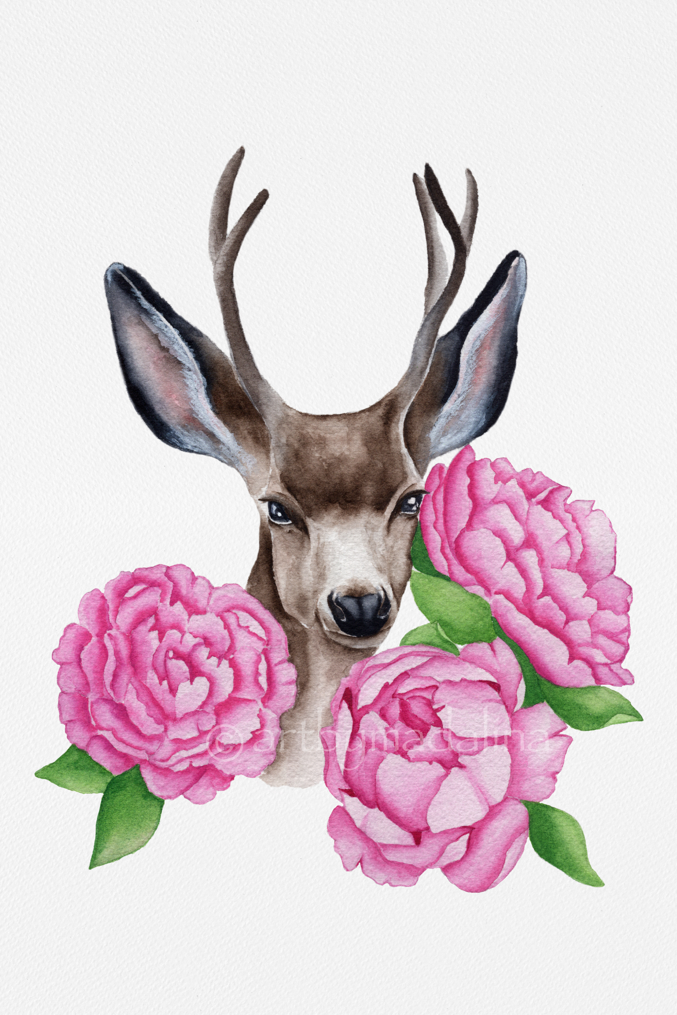 Peony Deer Delight Fine Art Print
