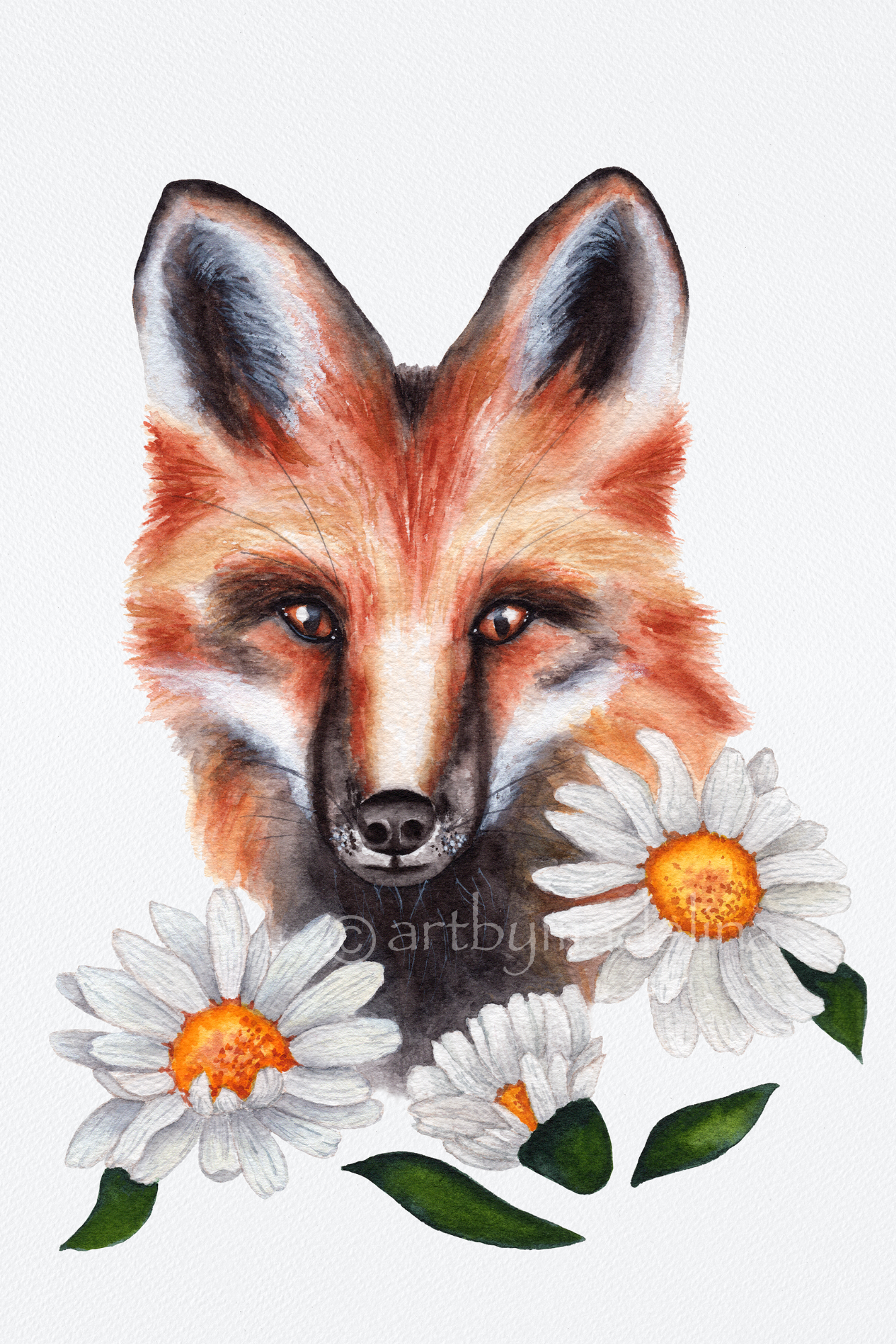 Among the Daisies Fine Art Print