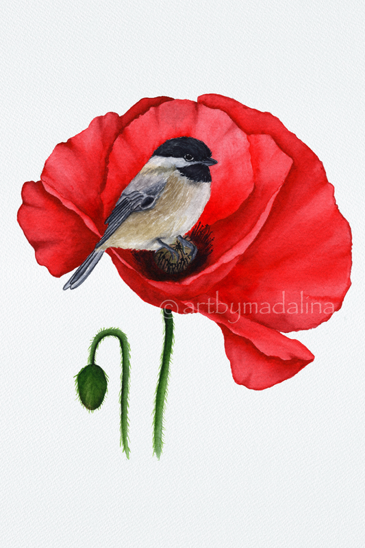 Poppy Whispers Fine Art Print