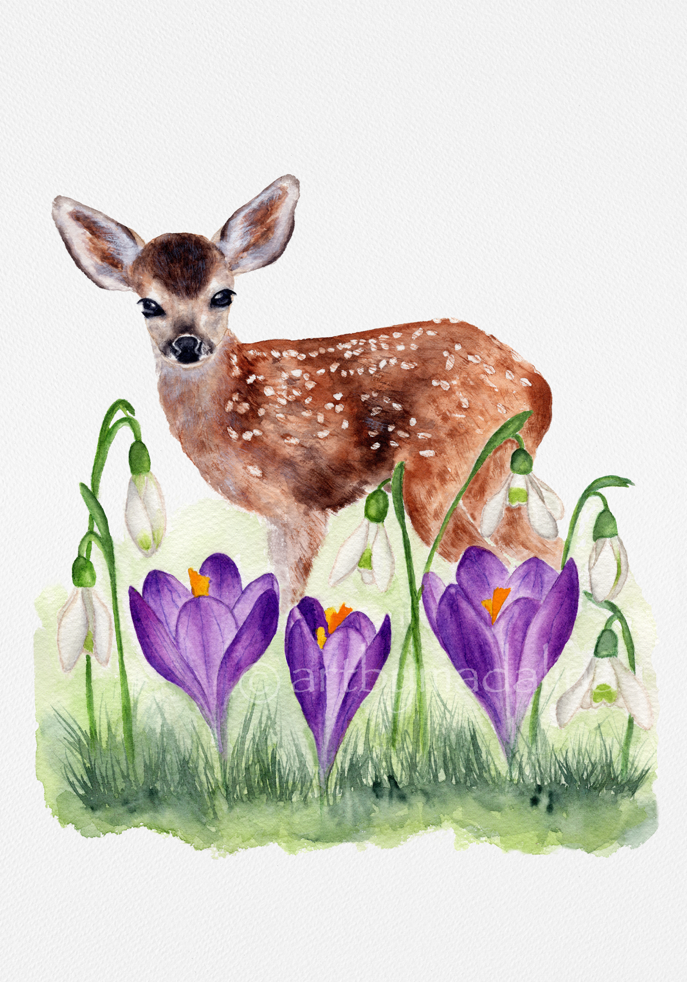 Where Spring Begins Fine Art Print