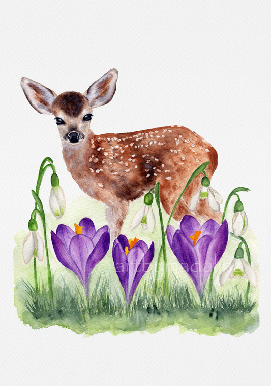 Where Spring Begins Fine Art Print